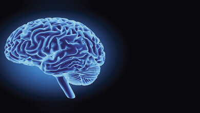 Neurology Suppression Head Impulse Paradigm (SHIMP)