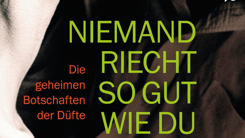 buch-5984.jpg Buch