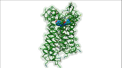 neuartiges Analgetikums PZM21