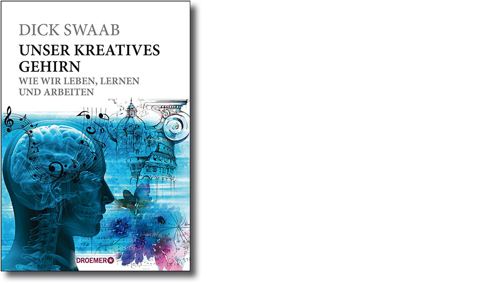 Umfassende Informationen zur Gehirnentwicklung