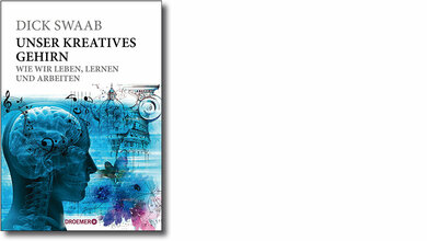 Umfassende Informationen zur Gehirnentwicklung