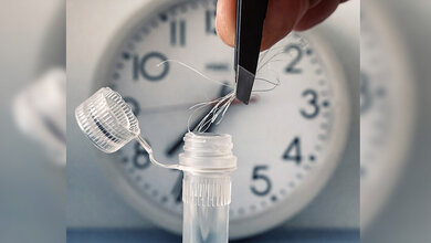 Nahaufnahme einer Pinzette, die Haare in ein transparentes Probenröhrchen legt, vor einem unscharfen Uhr-Hintergrund.
