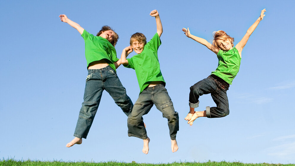 Nationaler Aktionsplan