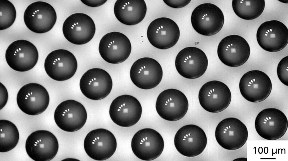 Mikrolinse.jpg Mikrolinsen