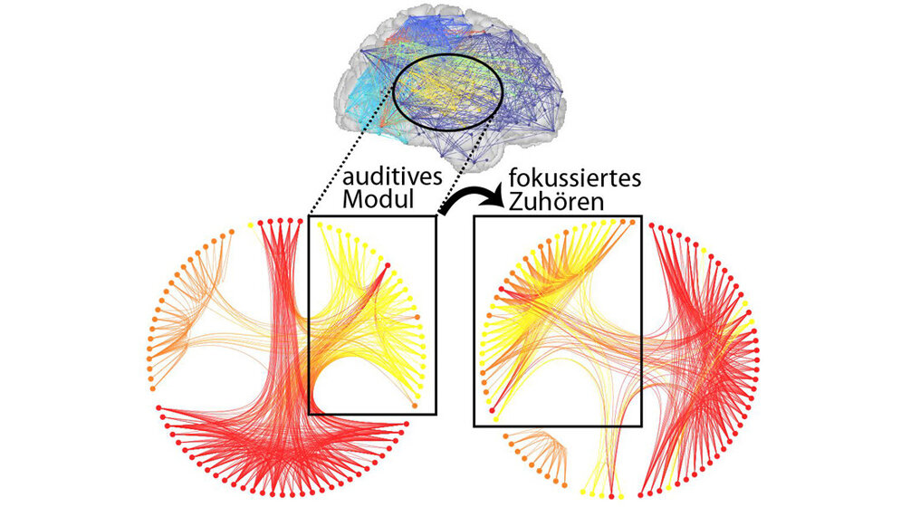 Während des fokussierten Zuhörens