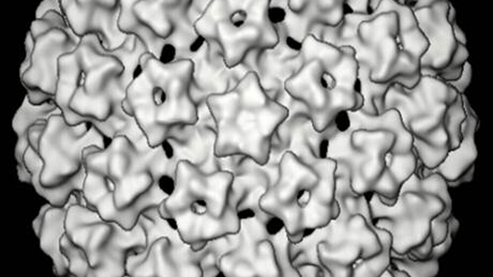 Gebärmutterhalskrebs