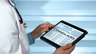 Candia Auris: Resistente Pilzart breitet sich aus, ach in Deutschland