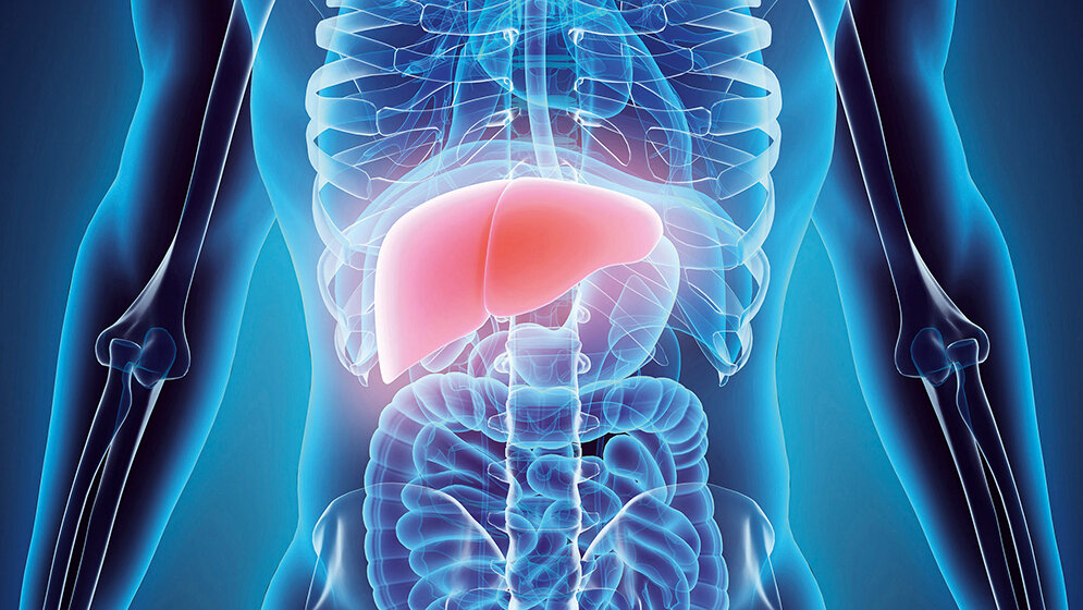 Laboratoriumsmedizin Hepatitis E (Teil 1)