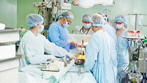 Transplantationen und die Rolle von Tacrolimus