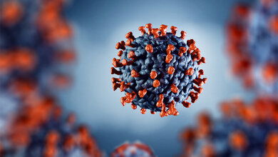 Coronavirus_stock_adobe_com_artegorov3_at_gmail.jpg Schwere COVID-19-Verläufe