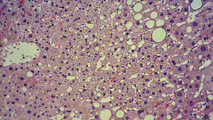 Immunhistochemie