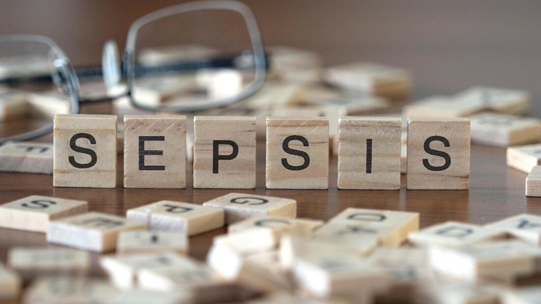 Titelbild zum Fachbeitrag über Sepsis und septischer Schock