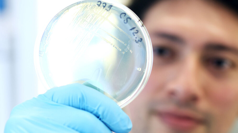 Modell zur Optimierung von Antibiotika-Kombinationen