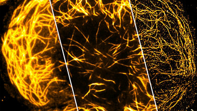 Superauflösung mittels Chip-Verfahren