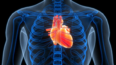 Symbolbild für menschliches Herz