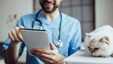 Aelurostrongylus abstrusus