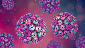 Titelbild zum Fachbeitrag über das Merkelzell-Polyomavirus