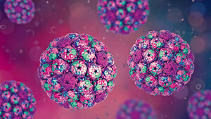 Titelbild zum Fachbeitrag über das Merkelzell-Polyomavirus
