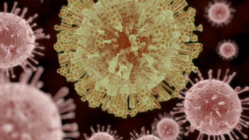 Zika-Virus