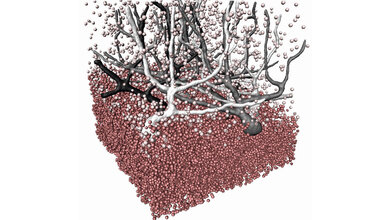 Phasenkontrasttomographie 