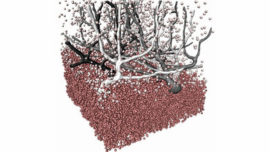 Phasenkontrasttomografie_Foto_Uni_Goettingen.jpg Phasenkontrasttomographie