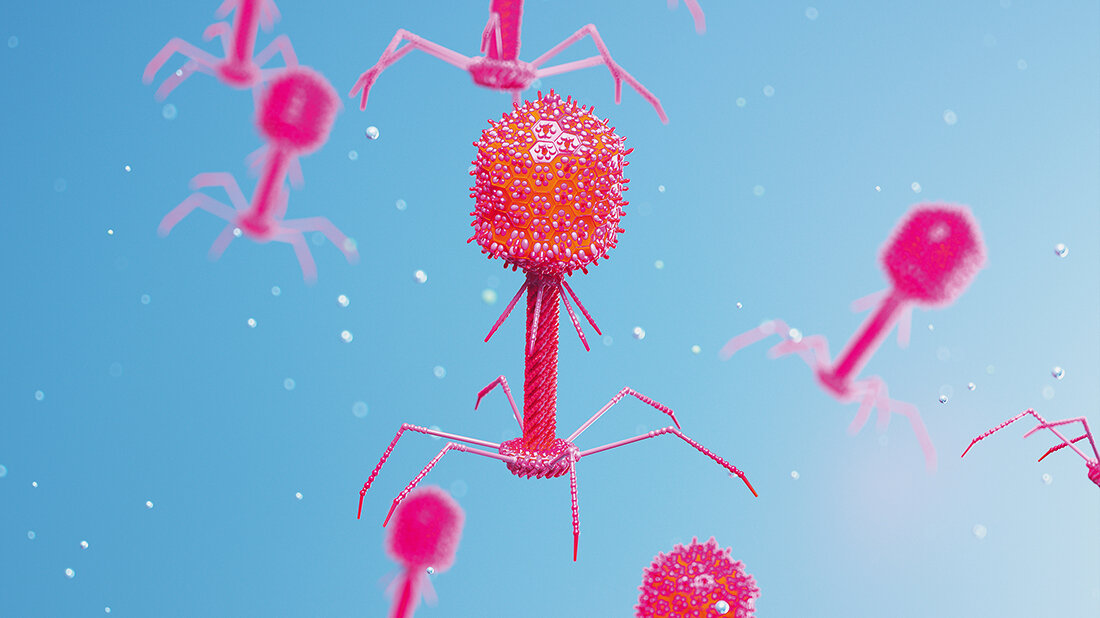 Bakteriophagen in der Biotechnologie – Phagen-Display 3D-Grafik von Bakteriophagen