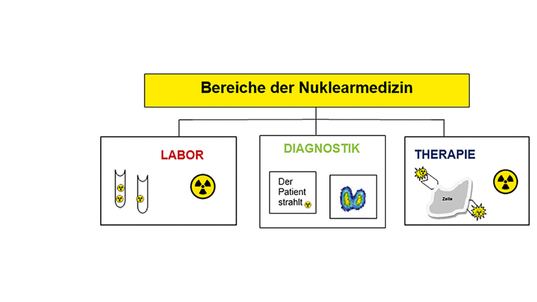 Diagramm der Bereiche der Nuklearmedizin