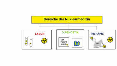 Diagramm der Bereiche der Nuklearmedizin