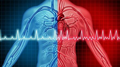 Möglicherweise schadet das Vorhofflimmern dem gesamten herzen. 