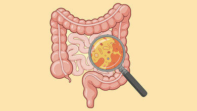 Grafische Darstellung des Darms mit einer Lupe, die Bakterien, Viren etc. zeigt
