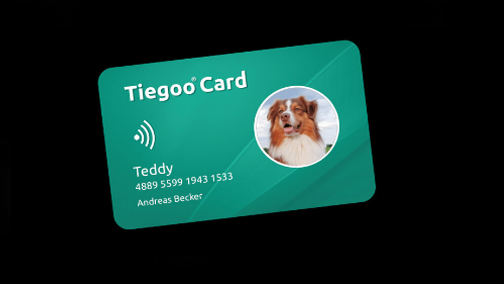 tiegoo.jpg