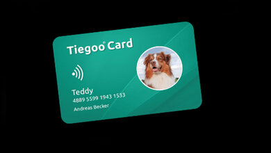 tiegoo.jpg