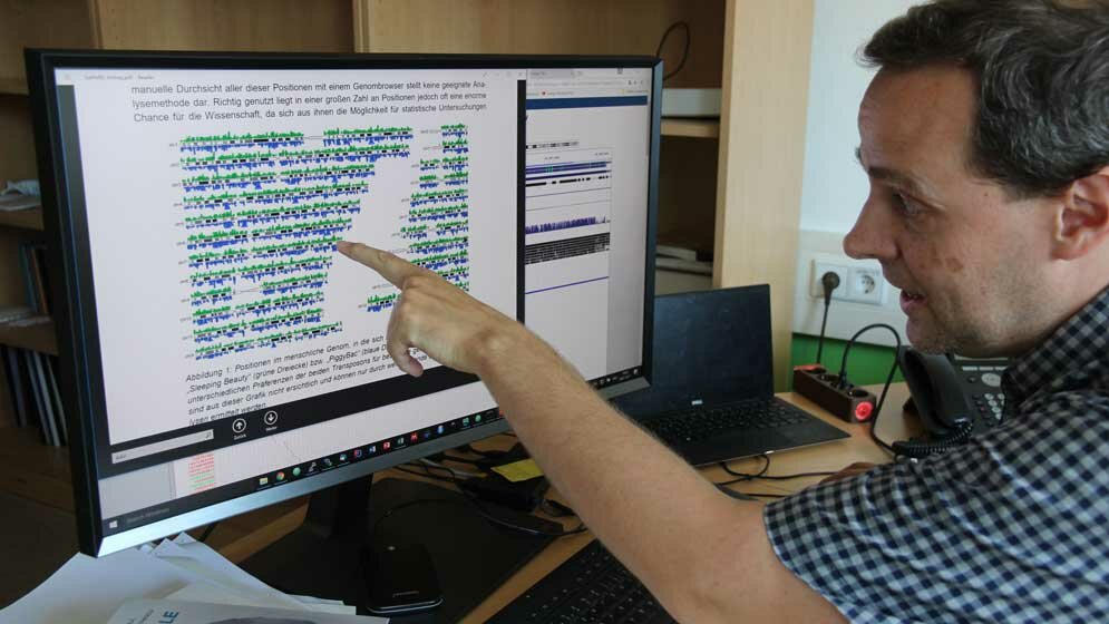 Genomanalyse.jpg Genomanalyse