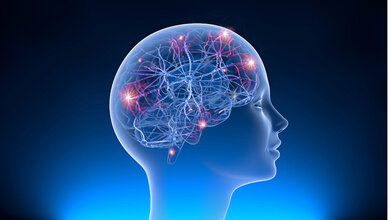 Grafische Darstellung eines Kopfes mit Blick auf das Gehirn und die Synapsen