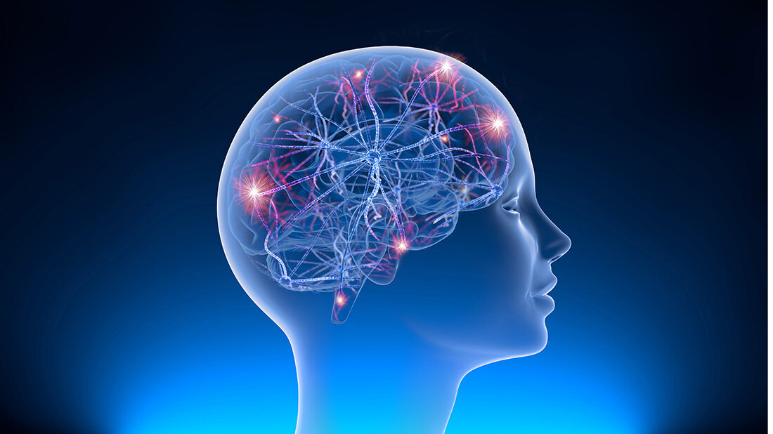 Grafische Darstellung eines Kopfes mit Blick auf das Gehirn und die Synapsen