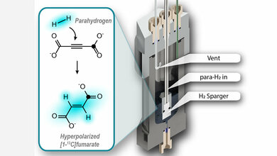 Hyperpolarisation von Fumarat