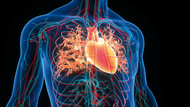 Erstanwendung der gepulsten Feldkryoablation
