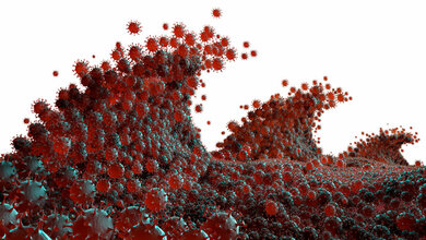 PCR-Testzahlen für KW37