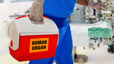 Organspende ja oder nein?