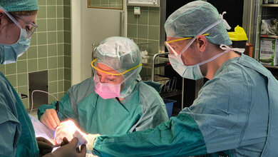 Im OP Implantation eines ABI.