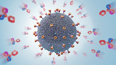 Immunflucht: Keine Chance gegen Omikron-Untervariante BQ.1.1 mit Antikörpertherapien?