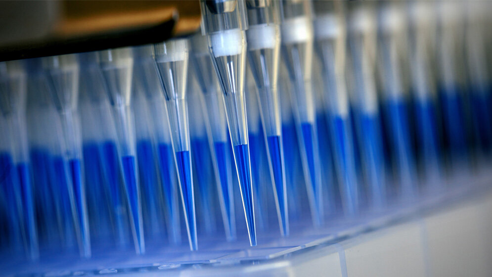 Blau_eingefaerbtes_Abstrichmaterial.jpg Blau eingefärbtes Abstrichmaterial