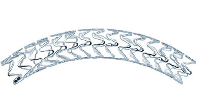 Resorbierbares_Gefaessgerüst_Magnesium_Scaffold_BVMed.jpg Stent
