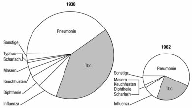 Mikrobielle Infektionskrankheiten und ihre Behandlung mit Antibiotika