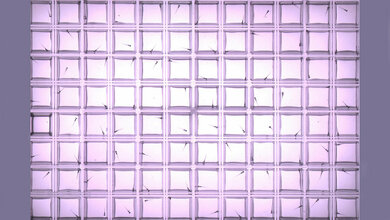 Zebrafisch-Larven in Versuchsplatte für Schwimmverhaltenstest.