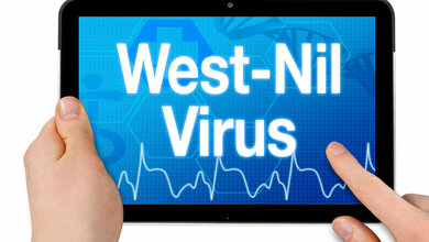 West-Nil-Virus