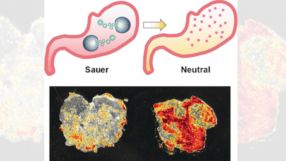 Erst passt man den ph-Wert an