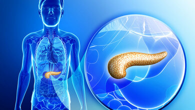 Bauchspeicheldrüse des Menschen
