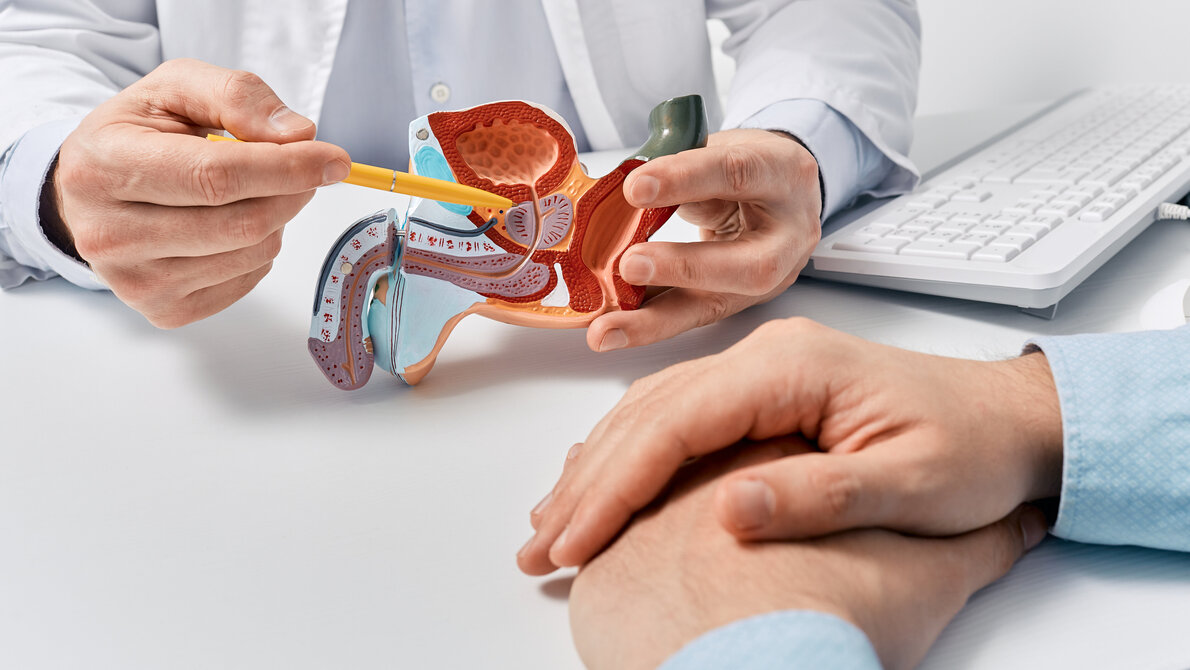 Prostatakrebs AdobeStock_593478476.jpeg
