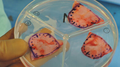 Die maßgefertigten Klappentaschen